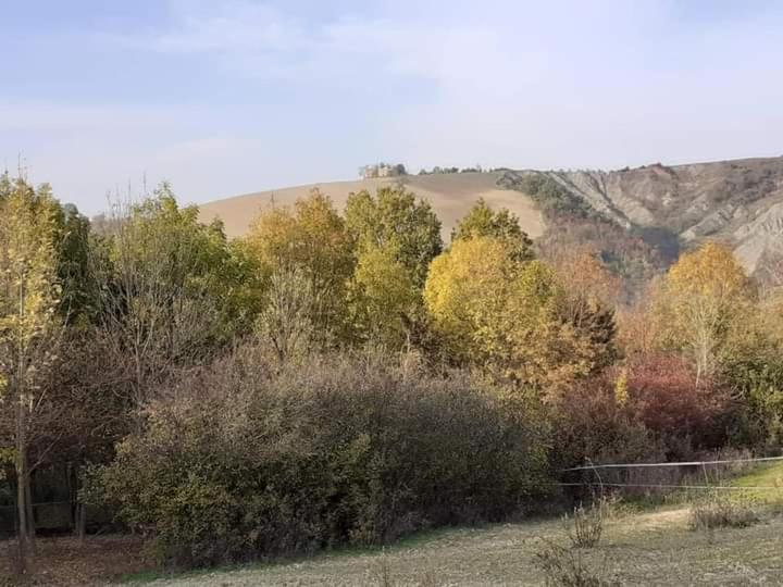 Ai Boschi Apartment Ozzano dell'Emilia Exterior photo