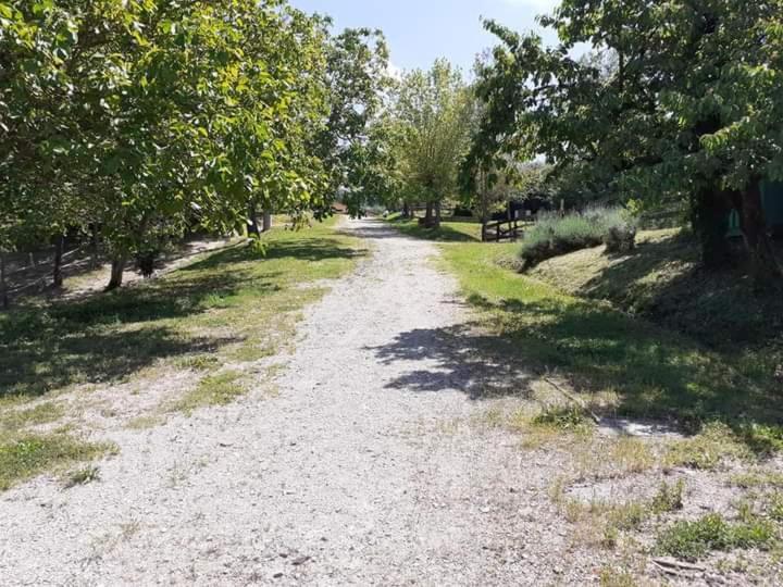 Ai Boschi Apartment Ozzano dell'Emilia Exterior photo